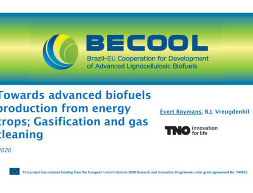 Towards advanced biofuels from energy crops – Gasification and gas cleaning