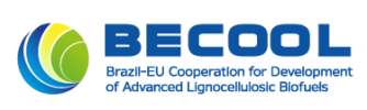 BECOOL PROJECT Logo