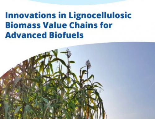 BECOOL Final Results: Innovations in Lignocellulosic Biomass Value Chains for Advanced Biofuels.